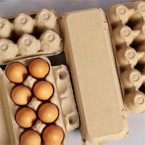 egg carton 11 egg carton 11